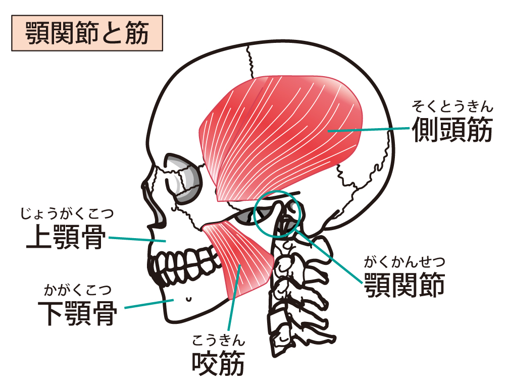 ブログイメージ