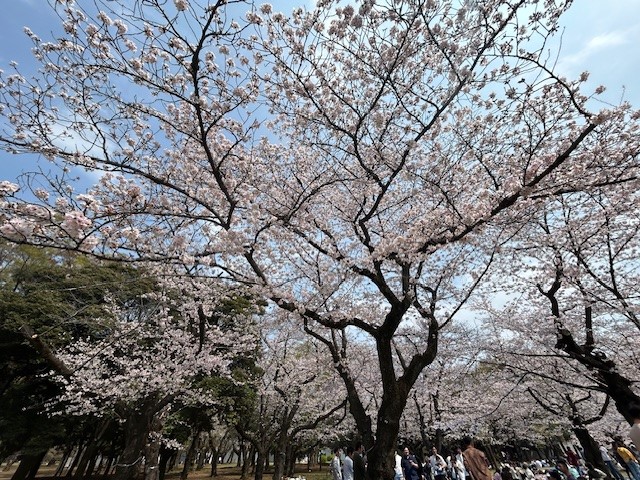 ブログイメージ